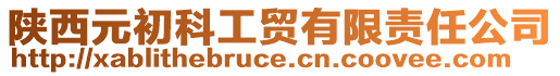 陜西元初科工貿有限責任公司