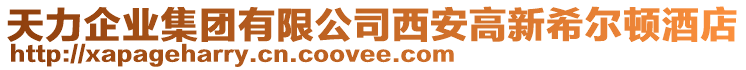 天力企業集團有限公司西安高新希爾頓酒店