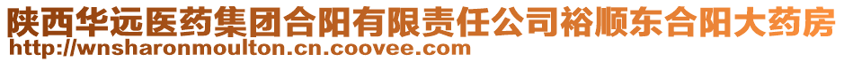 陜西華遠(yuǎn)醫(yī)藥集團(tuán)合陽有限責(zé)任公司裕順東合陽大藥房