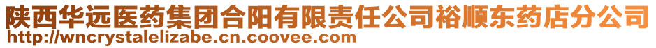 陜西華遠(yuǎn)醫(yī)藥集團合陽有限責(zé)任公司裕順東藥店分公司