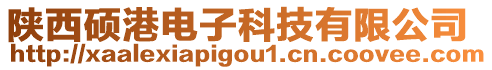 陜西碩港電子科技有限公司