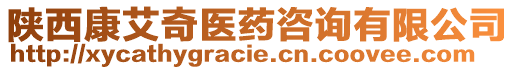 陜西康艾奇醫(yī)藥咨詢有限公司