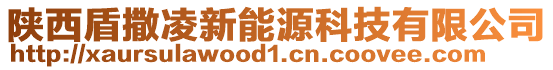 陜西盾撒凌新能源科技有限公司