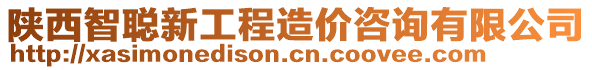 陜西智聰新工程造價咨詢有限公司