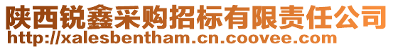 陜西銳鑫采購(gòu)招標(biāo)有限責(zé)任公司