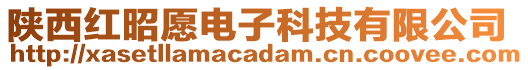 陜西紅昭愿電子科技有限公司