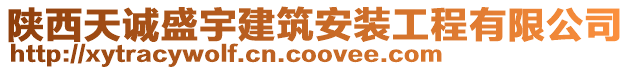 陜西天誠盛宇建筑安裝工程有限公司