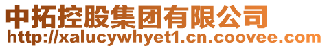 中拓控股集團有限公司