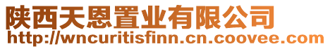 陜西天恩置業(yè)有限公司