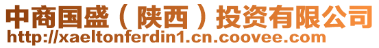中商國(guó)盛(陜西)投資有限公司