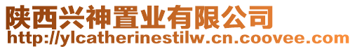 陜西興神置業(yè)有限公司