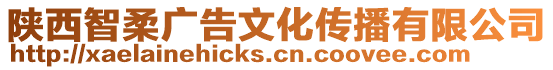 陜西智柔廣告文化傳播有限公司