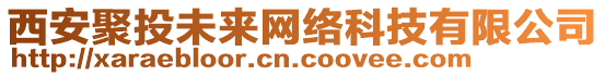 西安聚投未來網(wǎng)絡(luò)科技有限公司