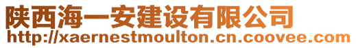 陜西海一安建設(shè)有限公司