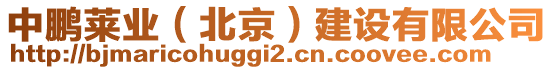 中鵬萊業(yè)（北京）建設(shè)有限公司