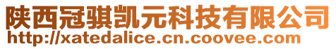 陜西冠騏凱元科技有限公司