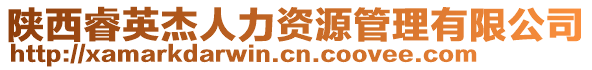陜西睿英杰人力資源管理有限公司
