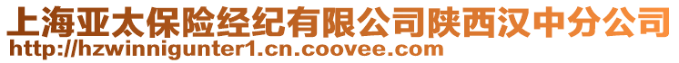 上海亞太保險經紀有限公司陜西漢中分公司