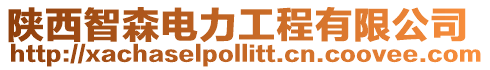 陜西智森電力工程有限公司