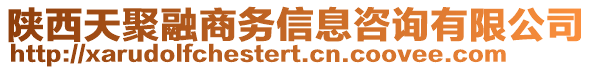 陜西天聚融商務信息咨詢有限公司