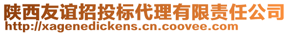 陜西友誼招投標(biāo)代理有限責(zé)任公司