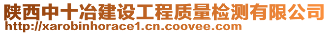 陜西中十冶建設(shè)工程質(zhì)量檢測(cè)有限公司