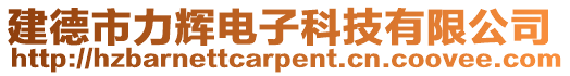 建德市力輝電子科技有限公司