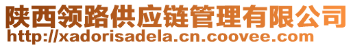 陜西領(lǐng)路供應(yīng)鏈管理有限公司