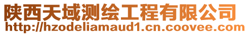 陜西天域測繪工程有限公司