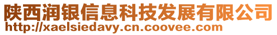 陕西润银信息科技发展有限公司