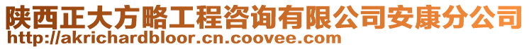 陜西正大方略工程咨詢有限公司安康分公司