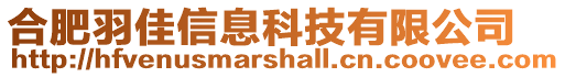 合肥羽佳信息科技有限公司