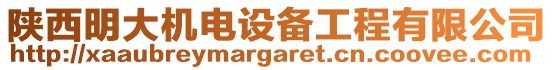 陜西明大機電設備工程有限公司