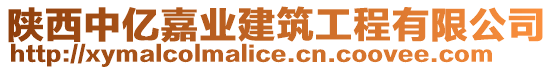 陜西中億嘉業(yè)建筑工程有限公司