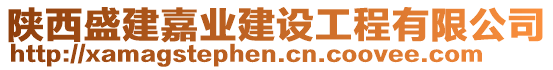 陜西盛建嘉業(yè)建設(shè)工程有限公司