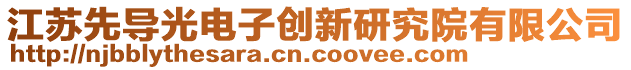 江蘇先導(dǎo)光電子創(chuàng)新研究院有限公司