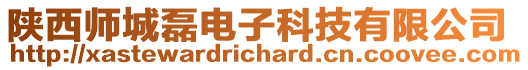 陜西師城磊電子科技有限公司