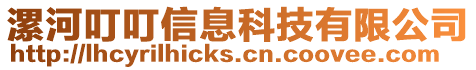 漯河叮叮信息科技有限公司