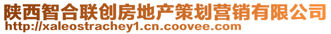 陜西智合聯(lián)創(chuàng)房地產(chǎn)策劃營銷有限公司