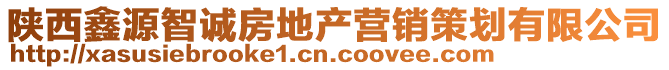 陜西鑫源智誠房地產(chǎn)營銷策劃有限公司