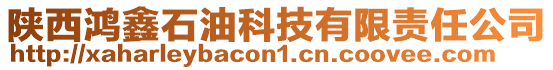 陜西鴻鑫石油科技有限責任公司