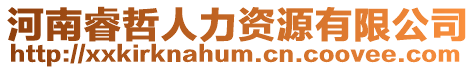 河南睿哲人力資源有限公司