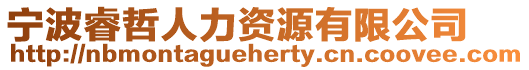 寧波睿哲人力資源有限公司