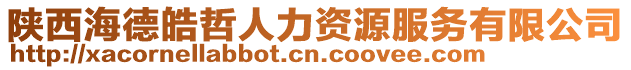 陜西海德皓哲人力資源服務(wù)有限公司