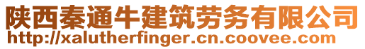 陜西秦通牛建筑勞務(wù)有限公司