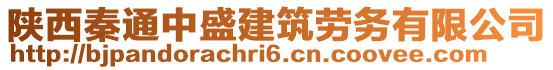 陜西秦通中盛建筑勞務(wù)有限公司