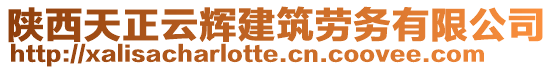 陜西天正云輝建筑勞務(wù)有限公司