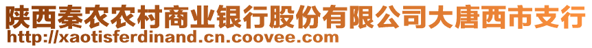 陜西秦農(nóng)農(nóng)村商業(yè)銀行股份有限公司大唐西市支行