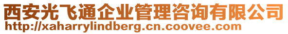 西安光飛通企業(yè)管理咨詢有限公司