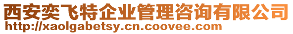 西安奕飛特企業(yè)管理咨詢有限公司